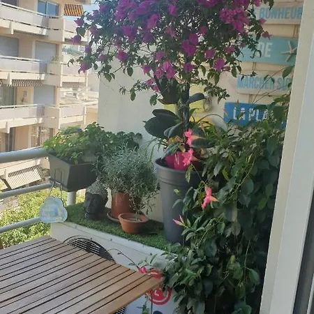 Guest house L'Amelisa Plage Toulon